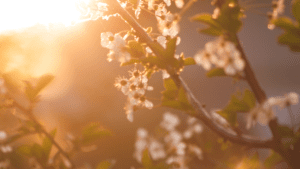 Holy Spirit Guidance